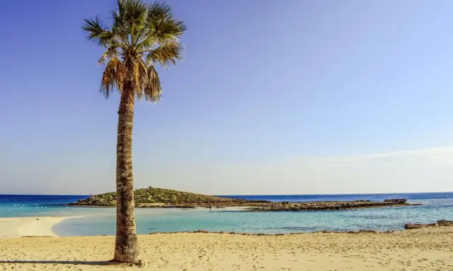 Idealne miejsce, gdzie na wakacje we wrześniu: piaszczysta plaża, turkusowa woda i samotna palma.