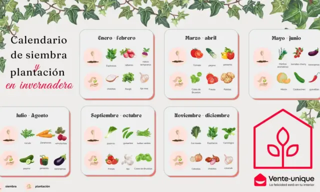 Calendario de siembra y plantación en invernadero, con cultivos para cada mes del año.