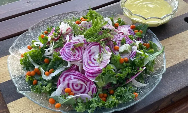 En färgglad sallad med rödbetor, grönkål och havtorn, perfekt som en frisk sallad till julbordet.