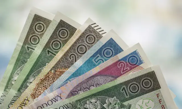 Złotówki w różnych nominałach, od 20 do 200 zł, ułożone wachlarzowo. Mogą symbolizować przyszłe świadczenie pielęgnacyjne 2026.