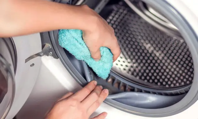 Limpiando la goma de la lavadora para eliminar el mal olor.