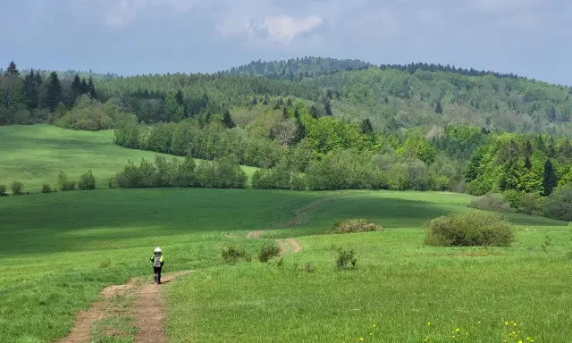 Osoba z plecakiem idzie ścieżką przez zieloną łąkę w Beskidach.