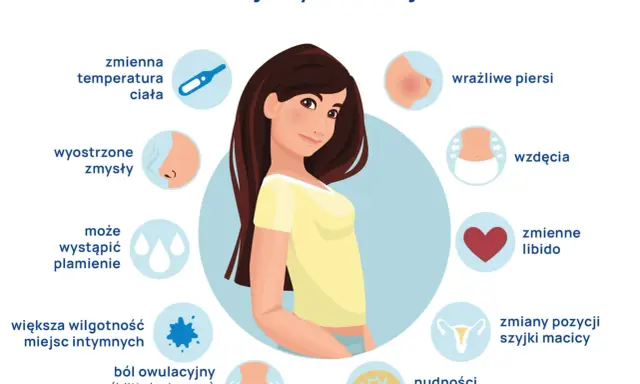 Objawy owulacji: zmienna temperatura, wyostrzone zmysły, plamienie, wilgotność, ból, wrażliwe piersi, wzdęcia, zmienne libido, zmiany szyjki macicy, nudności, bóle głowy.