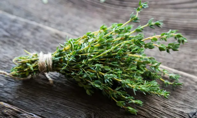 Ein Bündel frischer Thymian, eine bekannte Heilpflanze gegen Husten, liegt auf rustikalem Holz.