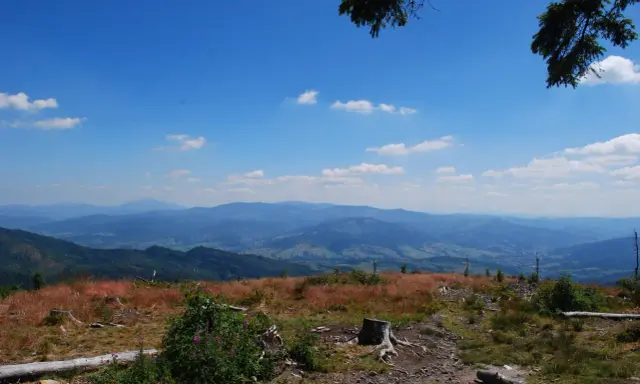 Widok na malownicze **beskidy szczyty** w słoneczny dzień. Na pierwszym planie trawa, pnie drzew i krzewy. W oddali widać kolejne pasma górskie.