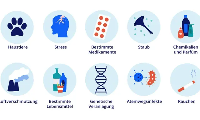 Auslöser für den Zustand bei Asthma: Haustiere, Stress, Medikamente, Staub, Chemikalien, Luftverschmutzung, Lebensmittel, genetische Veranlagung, Infekte, Rauchen.