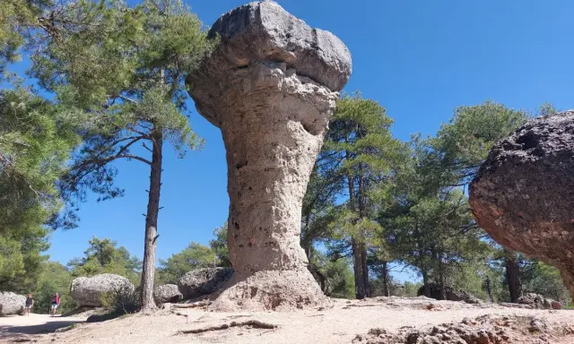Majestuoso hongo de roca en el bosque encantado de Cuenca, rodeado de pinos y bajo un cielo azul intenso.