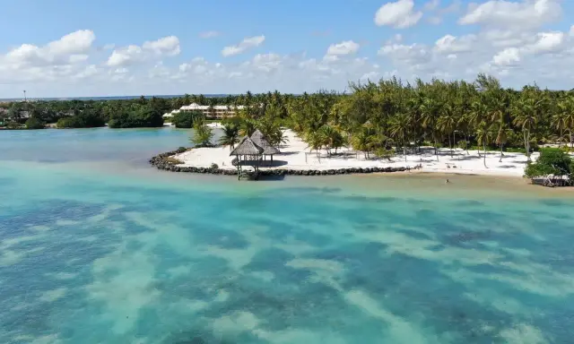 Rajska plaża z palmami i turkusową wodą. Czy Mauritius, warto? Zdecydowanie tak!
