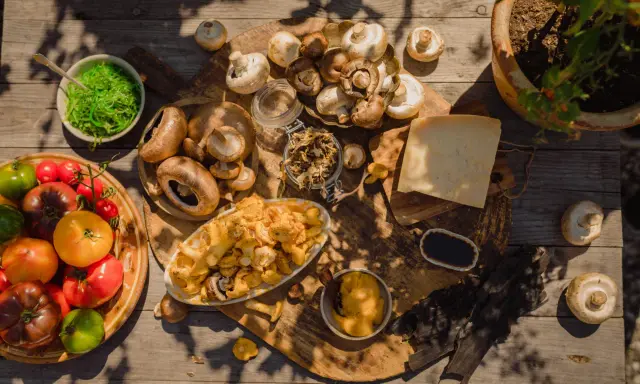 En härlig samling av färska tomater, olika svampar och en bit ost. En skål med gröna alger och en liten skål med mörk sås antyder en djup umami smak.