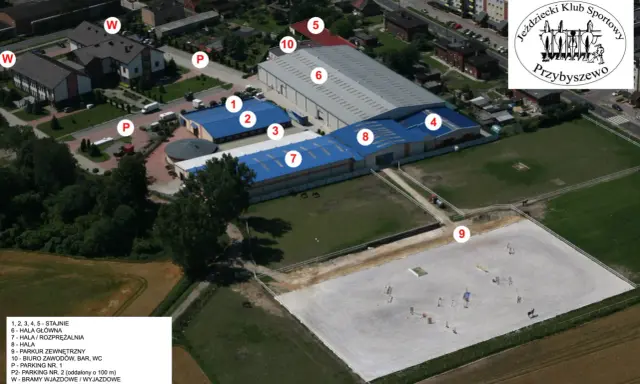 Stadnina Koni Leszno: Jak wybrać? Ceny, usługi Twój przewodnik