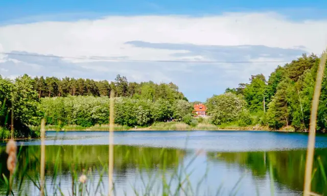Spokojne jezioro otoczone zielenią, z domkiem na wzgórzu. Idealne miejsce na wypoczynek w okolicach Zielonej Góry.