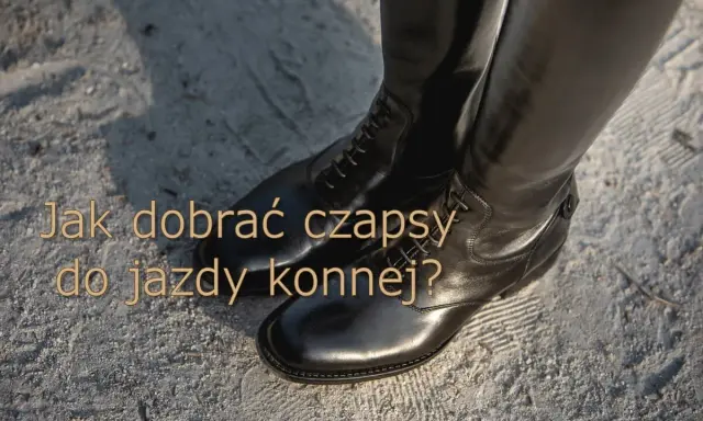 Eleganckie, czarne chapsy jeździeckie na sznurówki, gotowe na jazdę konną.