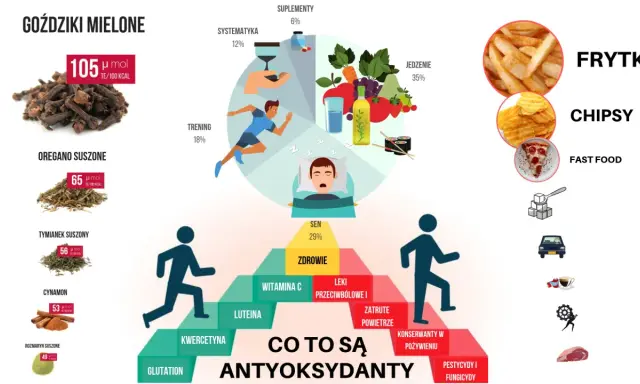 Antyoksydanty co to? Piramida zdrowia, sen, jedzenie, zioła i suplementy. Unikaj fast foodów, pestycydów i zanieczyszczeń.