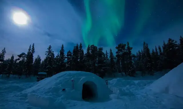 En glasigloo i Sverige under norrsken. En snöig skog och en fullmåne lyser upp natten.