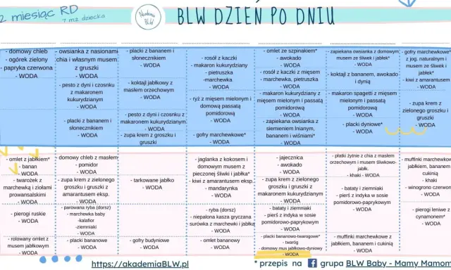 BLW co to? Tygodnie 7 i 8: propozycje posiłków dla niemowląt, np. omlet z jabłkiem, zupa krem z groszku, placki bananowe.
