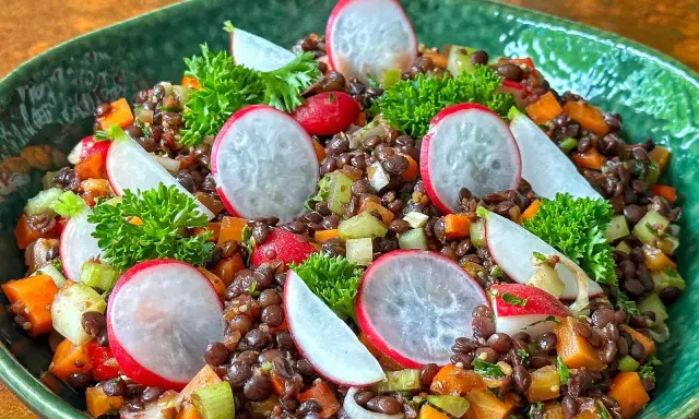 Ein bunter Linsensalat mit Radieschen, Karotten und Sellerie, perfekt für ein gesundes linsensalat rezept.