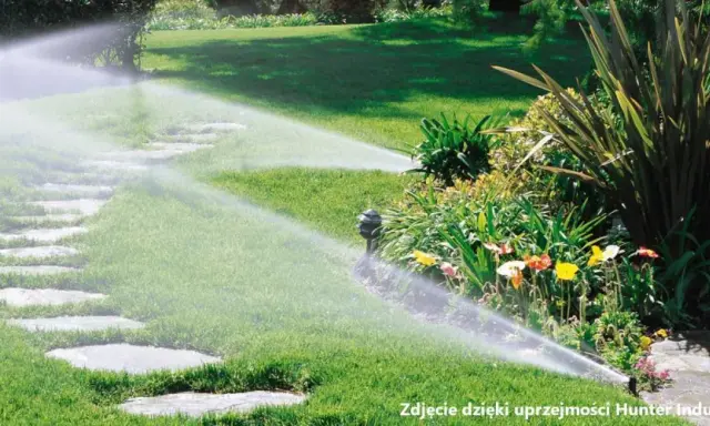 Ile zraszaczy na sekcji? Oblicz to sam! Poradnik eksperta.