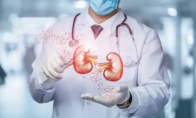 Lekarz w masce i rękawiczkach prezentuje model nerek, sugerując diagnostykę problemów, takich jak krew w moczu co oznacza.