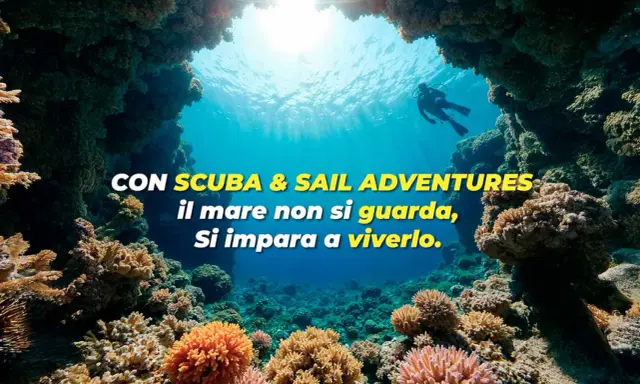 Subacqueo esplora un colorato reef corallino. L'immersione sportiva ti porta a vivere il mare, non solo a guardarlo.