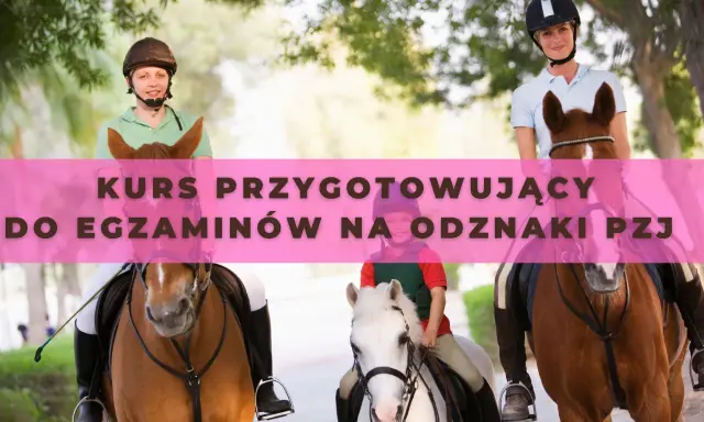 Odznaka Jeżdżę Konno PZJ: Zdać egzamin? Mój poradnik.