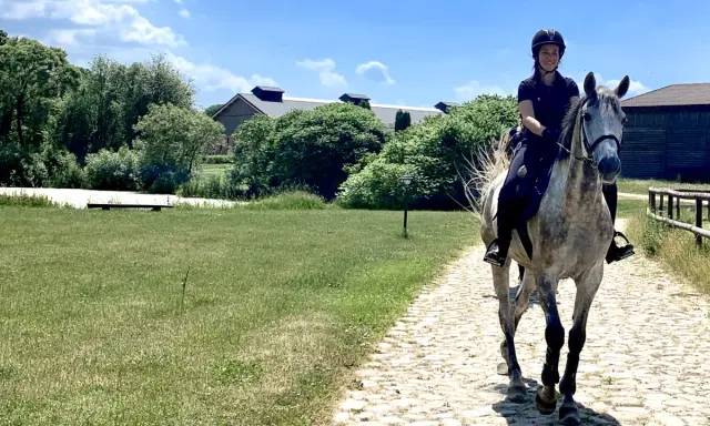 Stadnina koni Mazury: Wybierz idealne miejsce na jeździeckie wakacje
