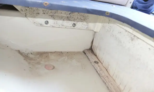 Le fond de cale d'un bateau, sale et moisi, avec des traces d'humidité et de débris.