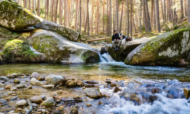 Hombre y perro descansan junto a un arroyo en el bosque. El agua fluye sobre rocas, creando un efecto de boca del asno baño natural.