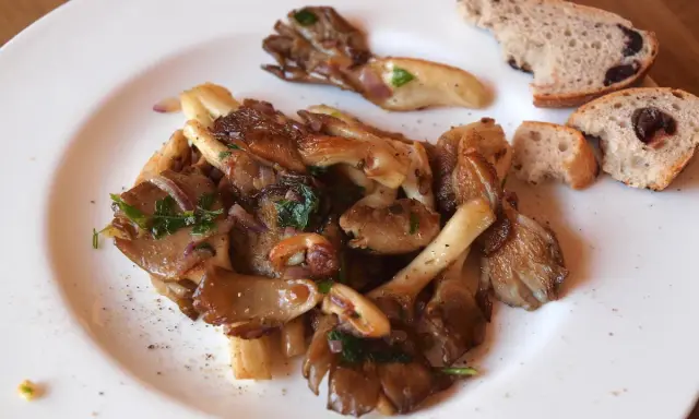 Gebratene Austernpilze mit Kräutern und Brot. So einfach lassen sich Austernpilze zubereiten.