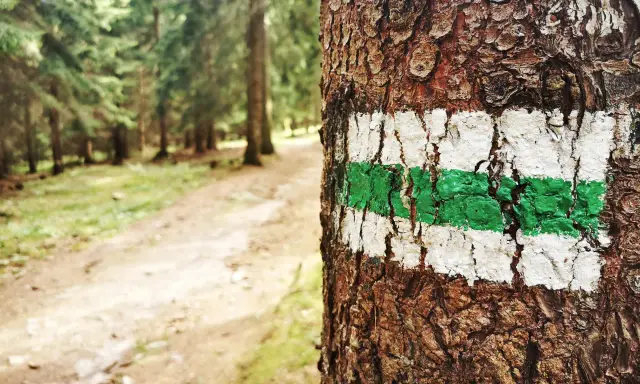 Jaki kolor szlaku jest najłatwiejszy? Obalamy mit! Jak ocenić szlak?