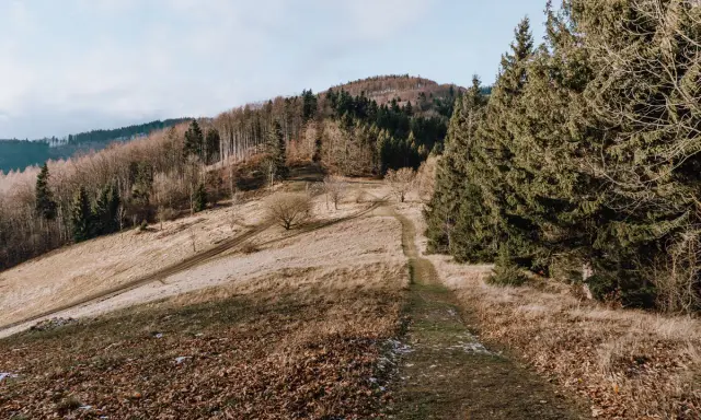 Ścieżka wije się przez trawiaste zbocze w Beskidzie Morawskim, otoczona drzewami.