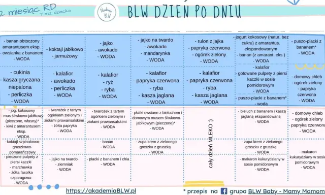 Tabela z propozycjami posiłków na rozszerzanie diety niemowlaka. Tydzień 5 i 6, różne opcje śniadań, obiadów i kolacji.