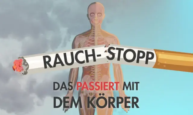 Rauch-Stopp: Ein zerbrochenes Zigarettenstück mit der Aufschrift "Rauch-Stopp" liegt vor einer transparenten menschlichen Anatomie. Darunter steht "Das passiert mit dem Körper".