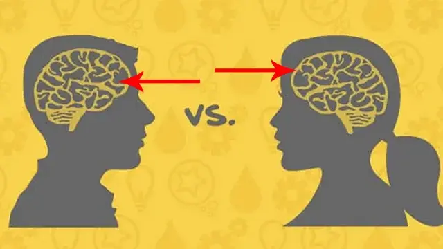 Mózg kobiety vs. mężczyzny: Jak zrozumieć różnice w związku?