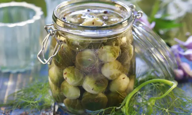 Glas mit eingelegtem Rosenkohl, bereit zum Einkochen. Kümmel und Dill umgeben das Glas.