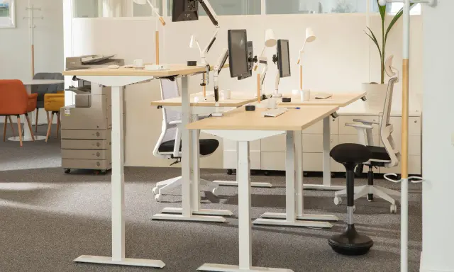 Postes de travail réglables en hauteur, favorisant l'ergonomie de bureau. Des écrans, lampes et chaises de bureau modernes sont disposés sur des bureaux en bois clair.