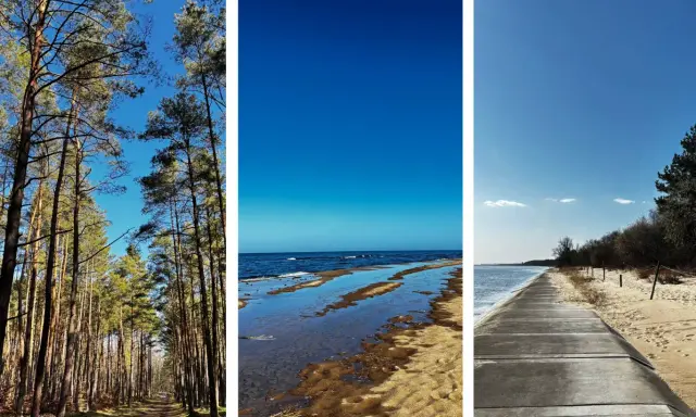 Wyspa Sobieszewska atrakcje: leśna ścieżka, plaża z wodą odbijającą niebo i betonowa promenada nad morzem.