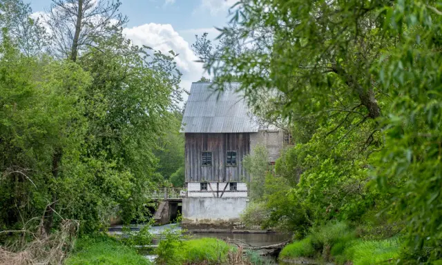 Stary młyn nad rzeką w Bolimowskim Parku Krajobrazowym, otoczony bujną zielenią.