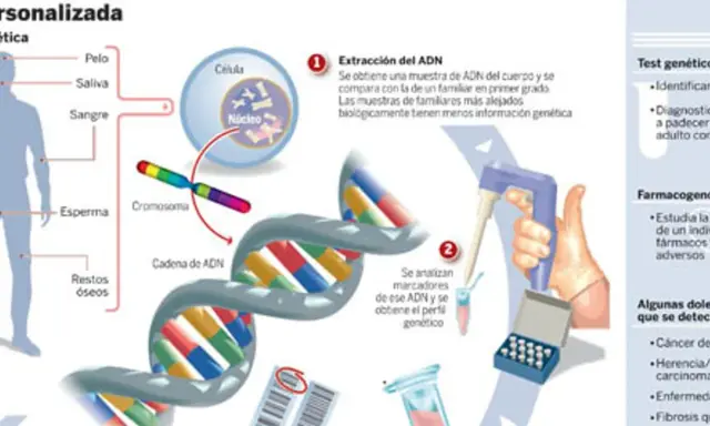 Ilustración explica qué es la genética: extracción de ADN de muestras biológicas, análisis de cromosomas y cadenas de ADN para perfiles genéticos y pruebas.