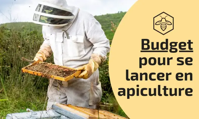 Apiculteur en tenue examinant une ruche. Le texte indique "Budget pour se lancer en apiculture", idéal pour ceux qui rêvent d'avoir une ruche chez soi.
