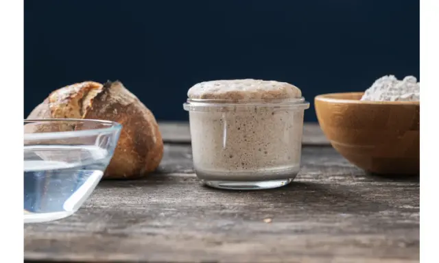 Un bocal de levain actif, du pain, de l'eau et de la farine illustrent la différence entre levain et levure.