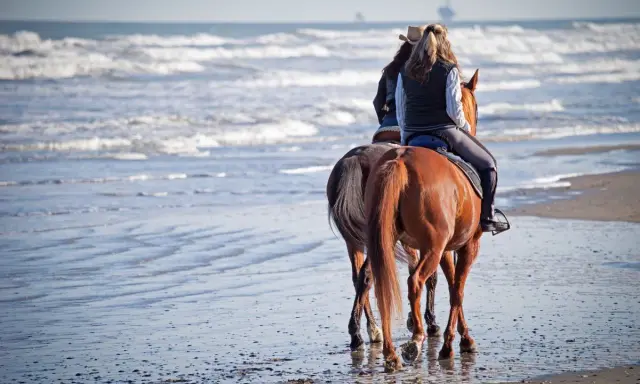 Due persone fanno una passeggiata a cavallo sul mare, con le onde che lambiscono la riva.