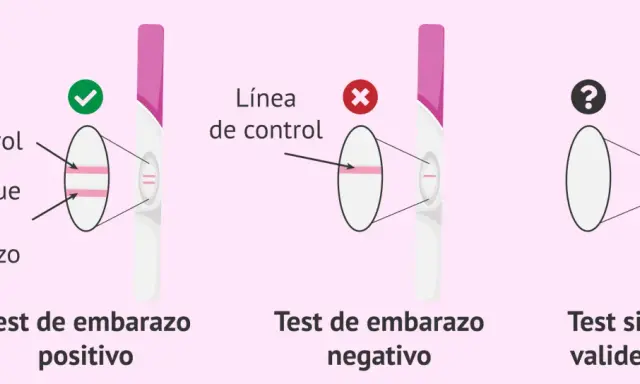 Test de embarazo positivo: dos líneas indican que estoy embarazada. Negativo: una línea. Inválido: sin líneas.