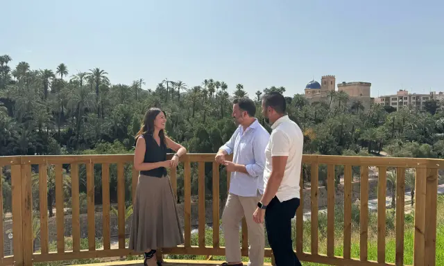 Tres personas conversan en la terraza de la cafetería mirador Elche, con un frondoso palmeral y el casco antiguo de la ciudad al fondo.