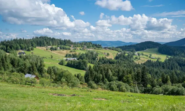 Zielone wzgórza Beskidu Wyspowego, pełne drzew i domków, pod błękitnym niebem z białymi chmurami.