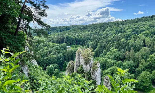 Wąwóz z wapiennymi ostańcami i bujną zielenią. Czy to jeden z 23 parków narodowych w Polsce?