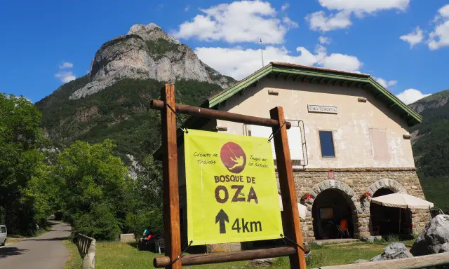 Cartel indica "Bosque de Oza 4km" en un día soleado en el valle de hecho, con una casa forestal y montañas al fondo.