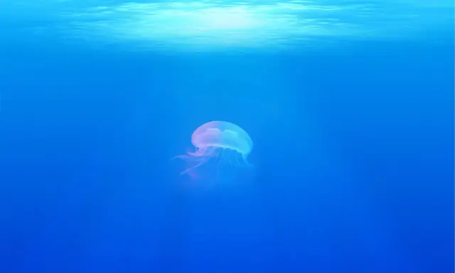 Una medusa trasparente fluttua nelle acque blu della Sardegna, illuminata dalla luce solare che filtra dall'alto.