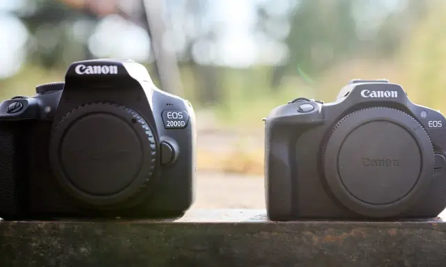 Dwa aparaty Canon EOS 2000D stoją obok siebie. Wady i zalety tego modelu są kluczowe dla początkujących fotografów.