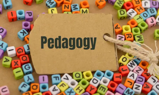 Kolorowe koraliki z literami tworzą tło dla brązowej metki z napisem "Pedagogy". Idealne do nauki i studiów online pedagogika.