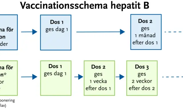 Schema för vaccin mot hepatit B, inklusive Twinrix. Visar normalt schema med doser på 0, 1 och 6 månader, samt snabbschema vid behov.